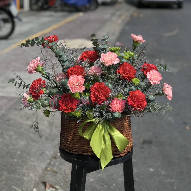 ý nghĩa hoa cẩm chướng theo màu sắc