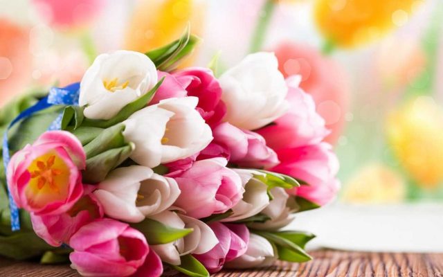 Hoa tặng mẹ ý nghĩa nhất hoa tulip