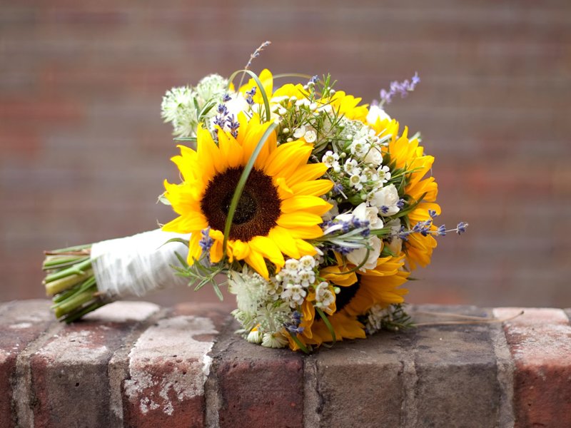 Hoa hướng dương được sử dụng chủ yếu để làm hoa cầm tay cô dâu