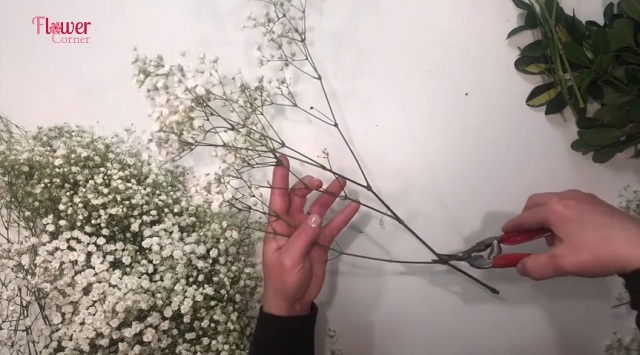 cách làm bó hoa cưới cầm tay bằng hoa baby trắng
