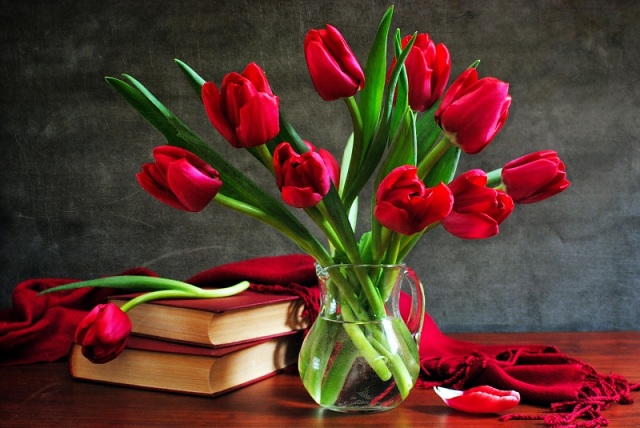 hoa tulip tặng sinh nhật người yêu 