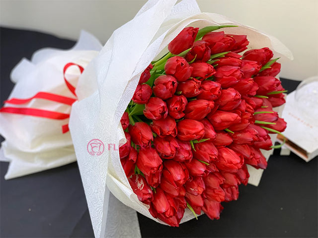 các loài hoa màu đỏ đẹp - hoa tulip