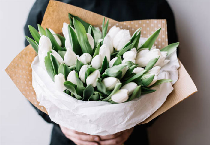 các loài hoa màu trắng - hoa tulip trắng